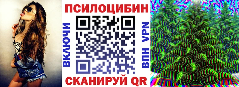 купить наркотик Белёв Псилоцибиновые грибы MAGIC MUSHROOMS